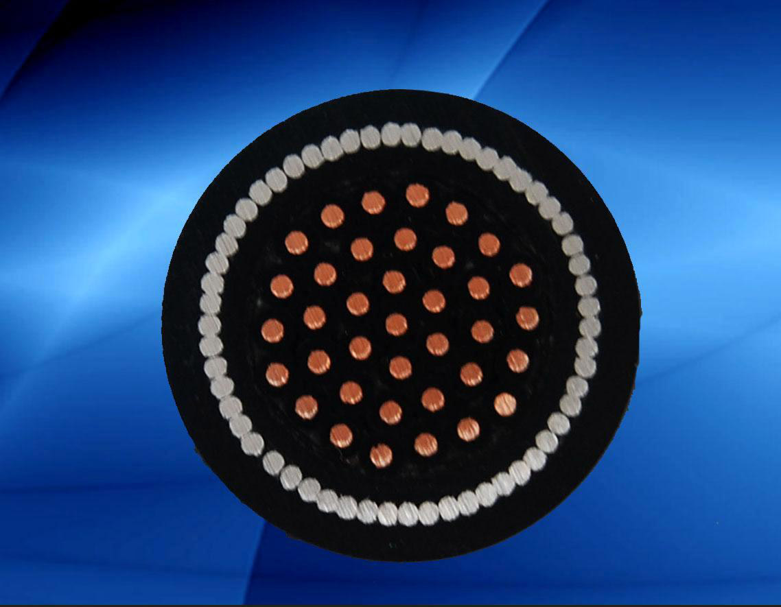 ����ɽ���ӵ���FC FCK...